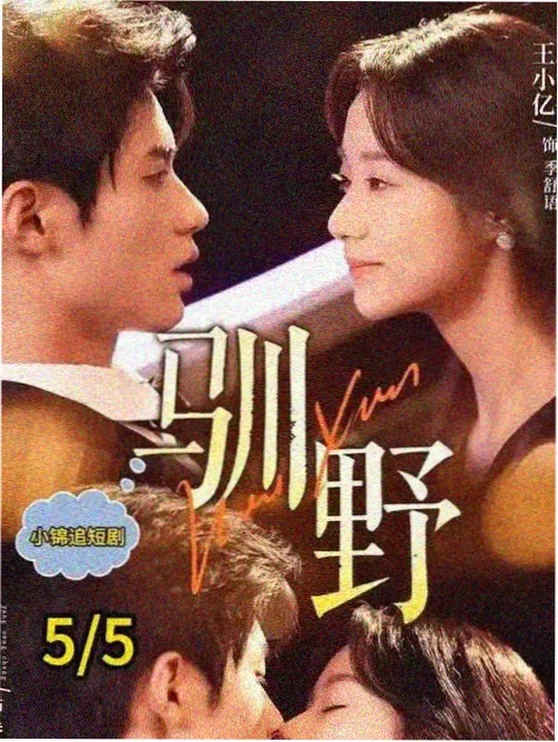 警察荣誉电视剧海报